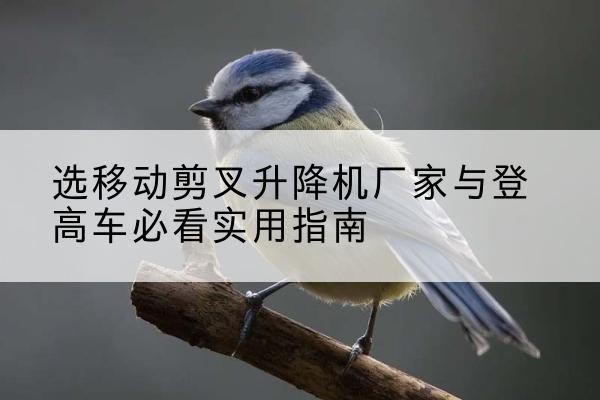 翔安电动升降机厂家-选移动剪叉升降机厂家与登高车必看实用指南