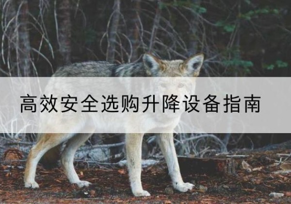 翔安升降货梯厂家推荐-*安全选购升降设备指南