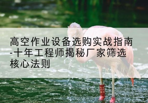 翔安剪叉式升降机厂家-高空作业设备选购实战指南-十年工程师揭秘厂家筛选核心法则